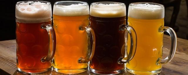 Правительство России изучает вопрос маркировки на пиво
