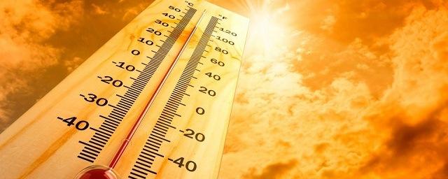В США из-за аномальной жары погибли четыре человека