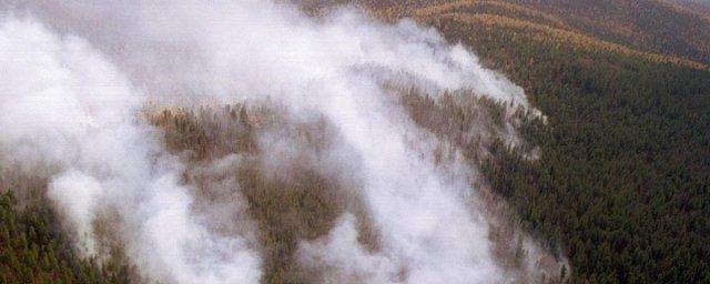 В Бурятии тушением лесных пожаров заняты 700 человек