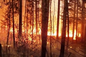 В Красноярском крае задержали возможного виновника в лесном пожаре на юге региона
