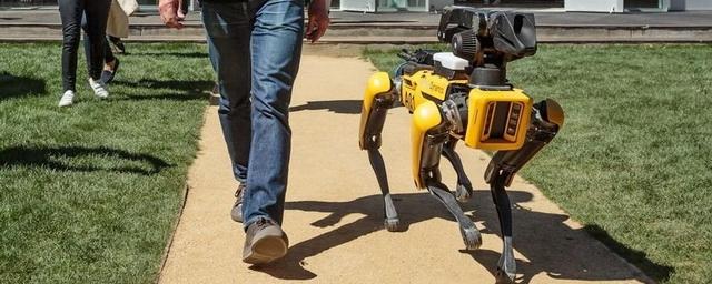 Boston Dynamics в 2019 году запустит массовые продажи роботов-собак