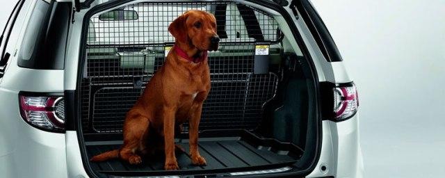 Внедорожники Land Rover оснастят душем для собак