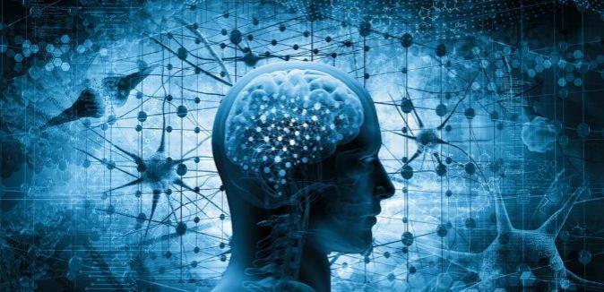 В Китае ученые создали модель искусственного интеллекта, подобную человеческому мозгу