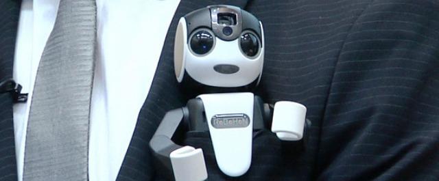 В Японии начали продавать гибриды роботов и телефонов