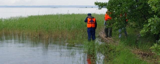 В Удмуртии в пруду утонул 17-летний выпускник из Татарстана