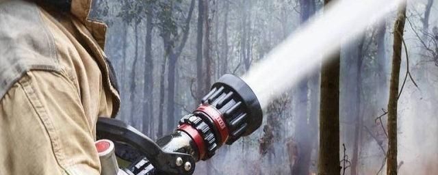 Власти Бурятии отменили особый противопожарный режим
