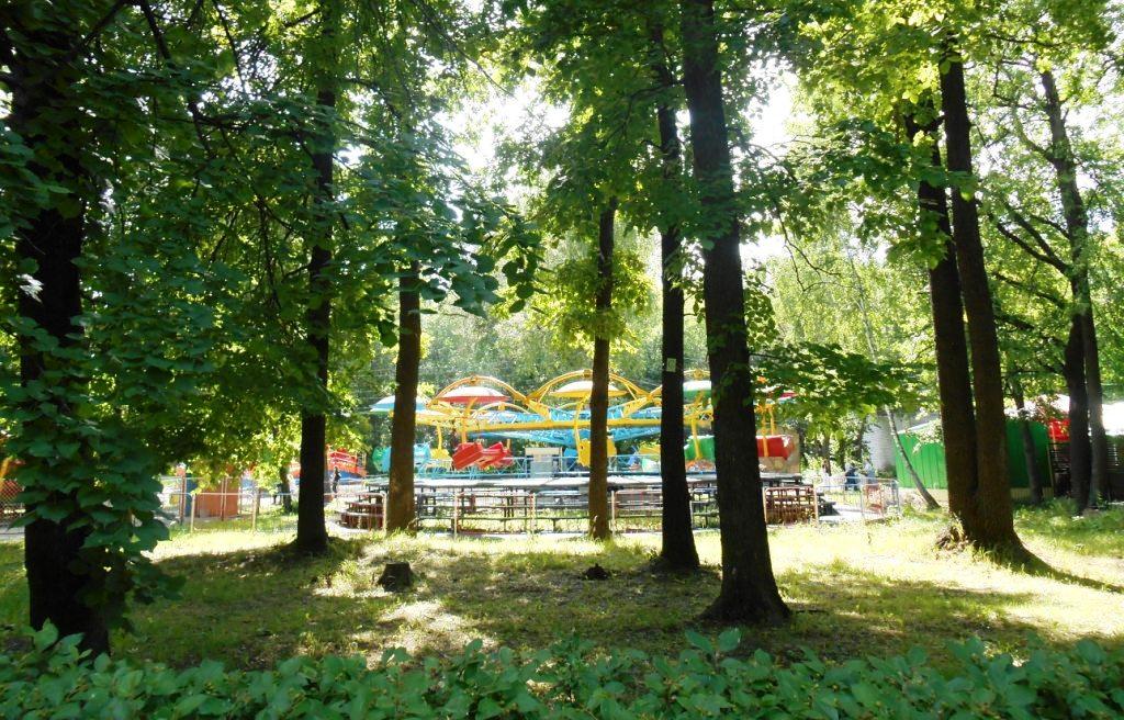 В ульяновских парках появятся зоны Wi-Fi и новые аттракционы