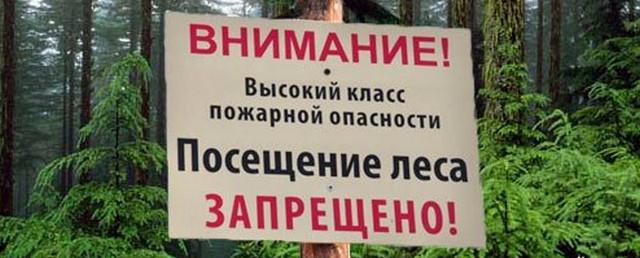 В 13 районах Нижегородской области введен запрет на посещение лесов