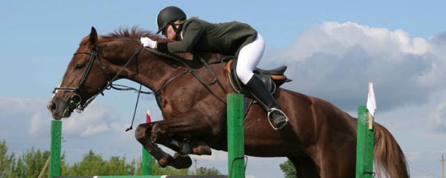 В Калмыкии состоится конный фестиваль