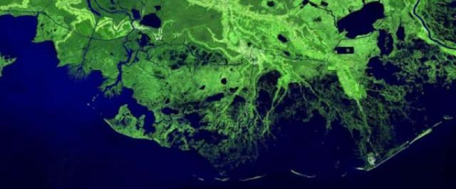 Ученые: Засуха реки Миссисипи угрожает всему человечеству