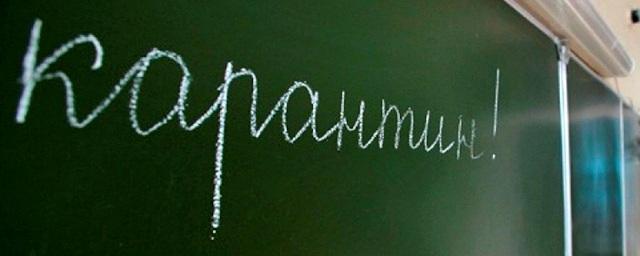 В Воронеже с 13 февраля все школы закроют на карантин по гриппу