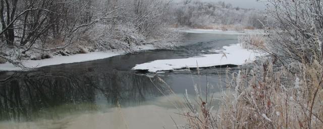 В Хибинах предприятие загрязнило реку Белая