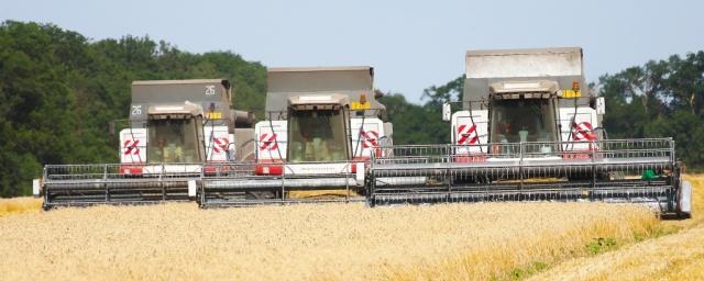 На Кубани собрано более 2 млн тонн зерна