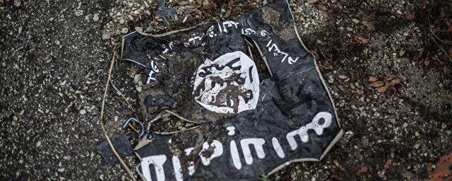 В Сирии уничтожен главный пропагандист ИГ