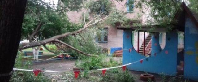 В Омске после ливня дерево упало на детский сад