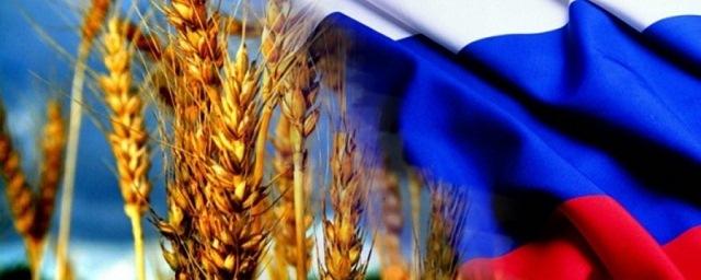 Россия подпишет с КНР протоколы на поставки гречихи и овса