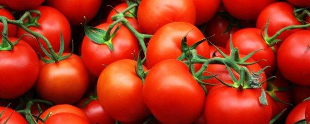 В Саратове утилизировали тонну санкционных помидоров