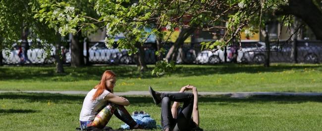 Жителям Новосибирска предложили выбирать парки для благоустройства
