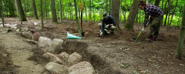 В Польше археологи исследуют гробницу возрастом более 6 тысяч лет