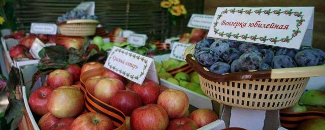 На Ставрополье собрано почти 9 000 тонн фруктов и ягод