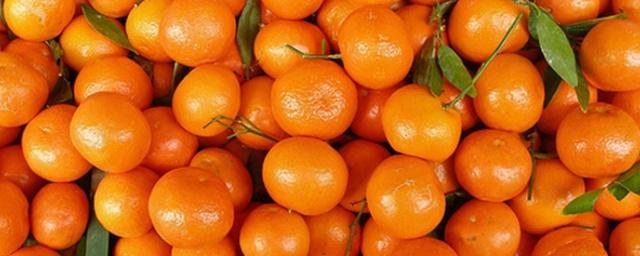В Абхазии мраморный клоп уничтожил большую часть урожая мандаринов