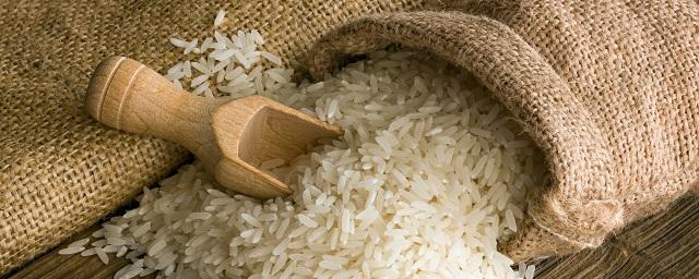 Дагестан занял второе место в России по производству риса