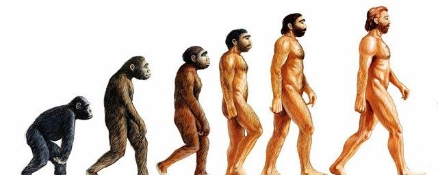 Генетики: Биологическая эволюция человечества не остановилась