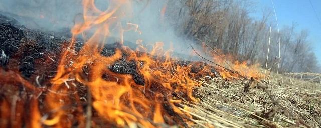 В Крыму с 29 апреля введен особый противопожарный режим
