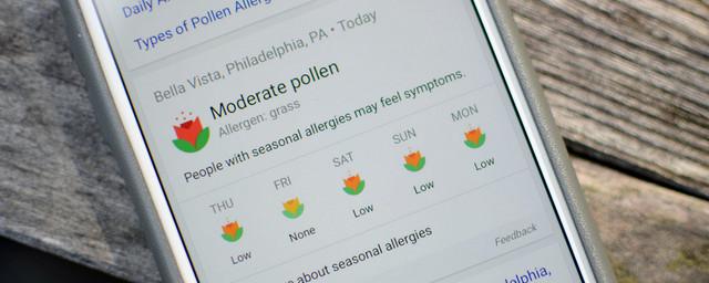 Google оснастил поисковик функцией показа уровня аллергенов в воздухе