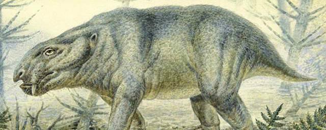 В Польше обнаружены останки древнего млекопитающего