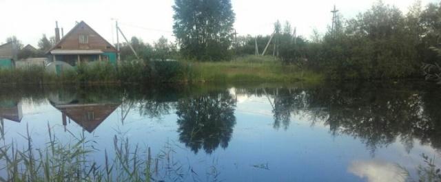 В Новосибирске запутавшийся в водорослях мужчина утонул в пруду