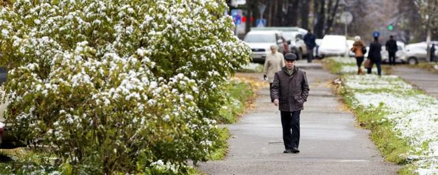 В Ярославской области прогнозируют заморозки