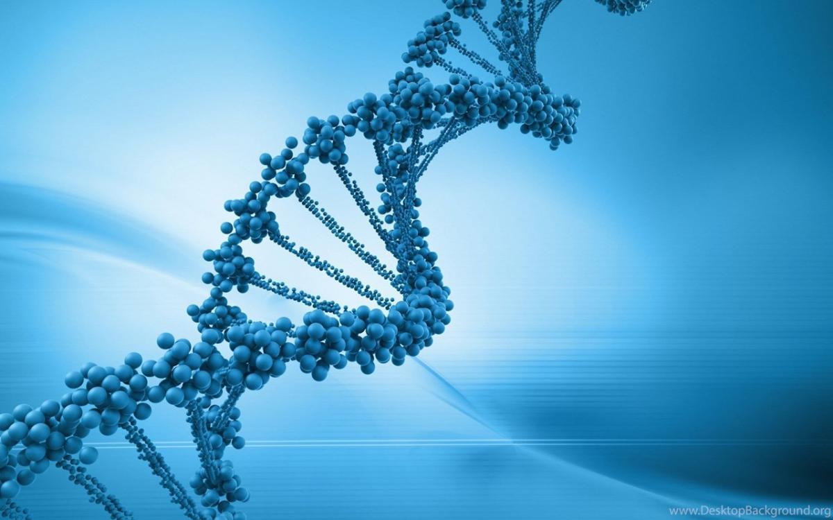 Ученые обнаружили в организме человека «встроенный таймер» мутаций‍
