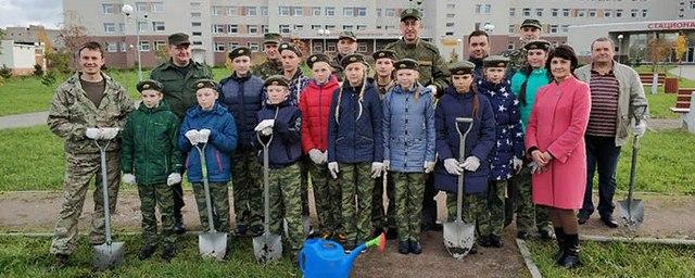 В Вологде у детской ОКБ высадили порядка 50 кустов спиреи
