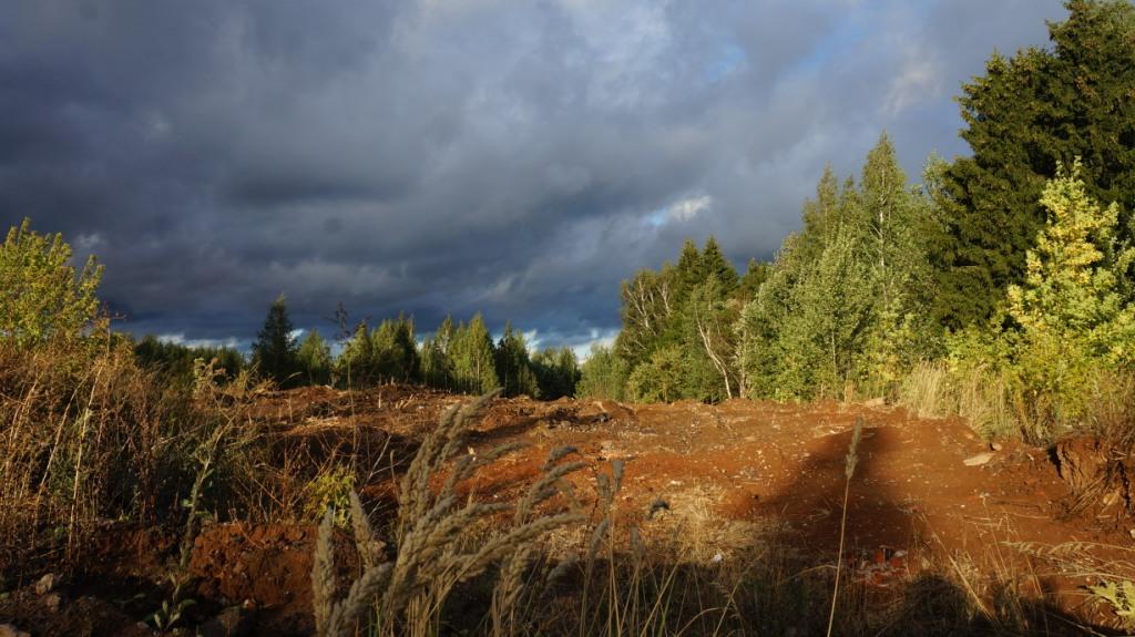Экологи хотят сохранить Ярушкинский парк в Ижевске