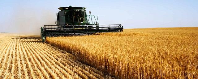 Аграрии Татарстана получат дополнительные 2 млн рублей господдержки