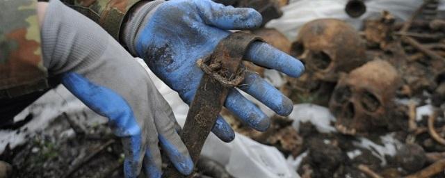 Воронежские поисковики за год нашли останки 1400 красноармейцев