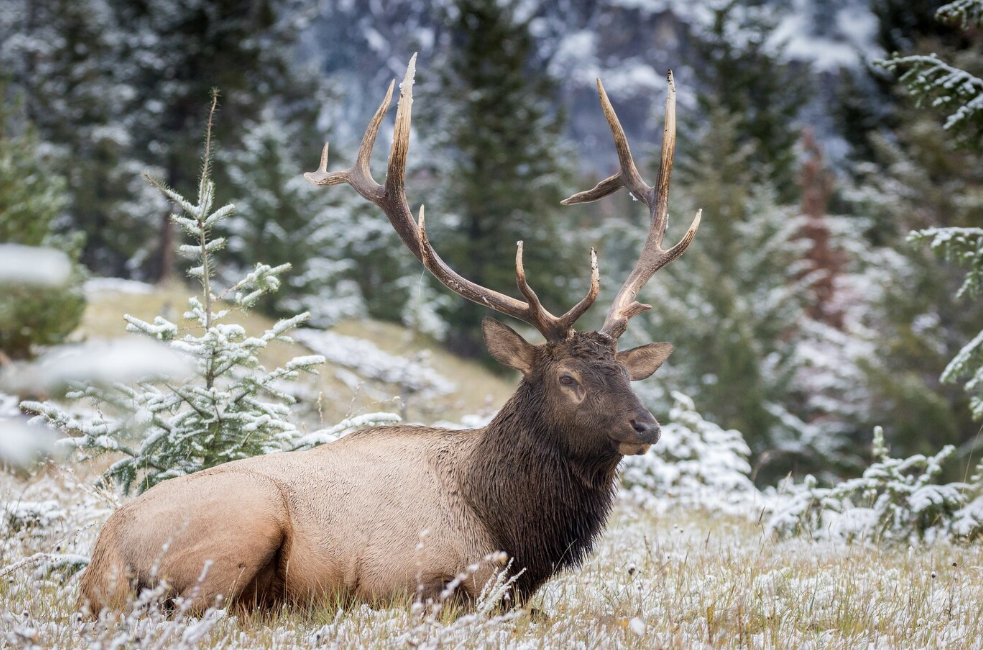 Туристический кластер в Липецкой области получит развитие при господдержке