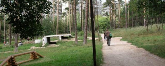 В Старозагородной роще Омска создадут ландшафтный парк