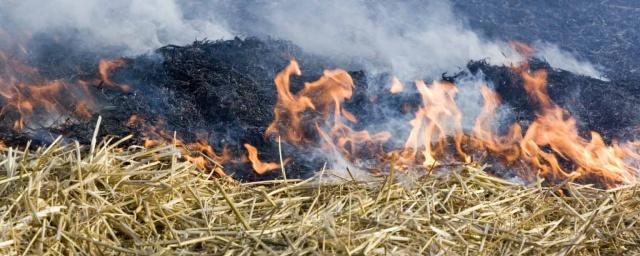 На юге Иркутской области отменили пожароопасный режим
