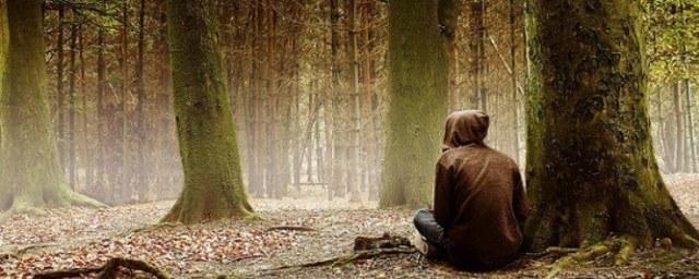 10 советов для тех, кто заблудился в лесу