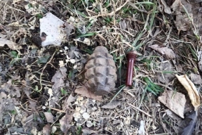 Во дворе дома в Биробиджане обнаружили боевую гранату и 15 патронов