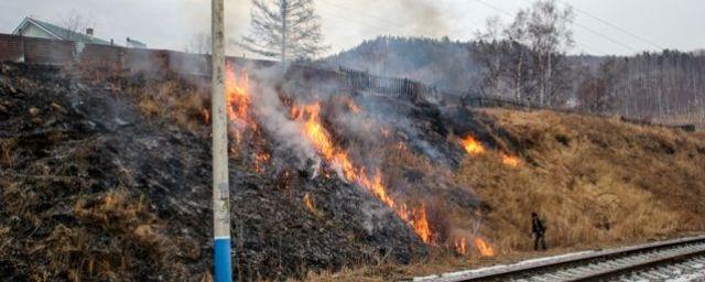 В Иркутской области с 15 апреля действует особый противопожарный режим