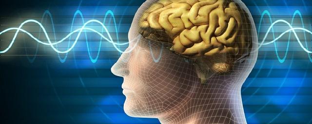 Ученые рассказали, что сможет повысить мозговую активность