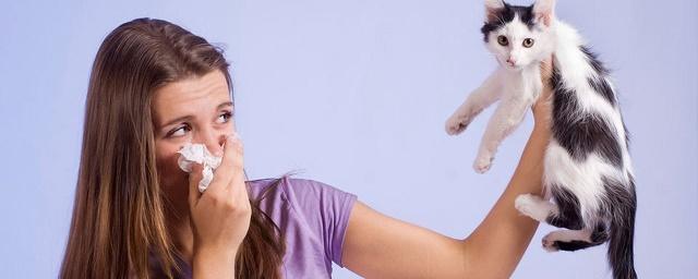 Ученые из РФ разрабатывают вакцину против аллергии на кошек