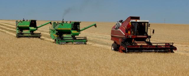 В Пензенской области намолотили 1,5 млн тонн зерна