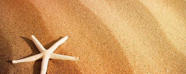 Две тысячи тонн песка закупят власти Ульяновска для городских пляжей