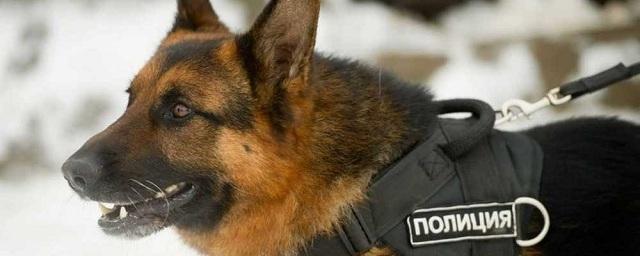 В Чехове бывший военный прокурор застрелил полицейскую собаку