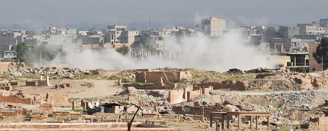 СМИ: В Сирии в результате авиаудара коалиции погибли 20 мирных жителей
