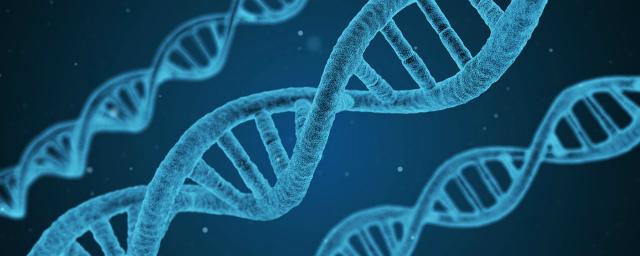 Генетики изучили процесс повреждения структуры ДНК